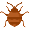 Carrapatos
